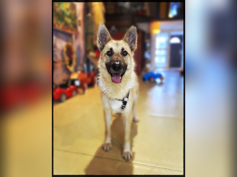 Eine echte Seele, auf der Suche nach ihren Seelens-Menschen!