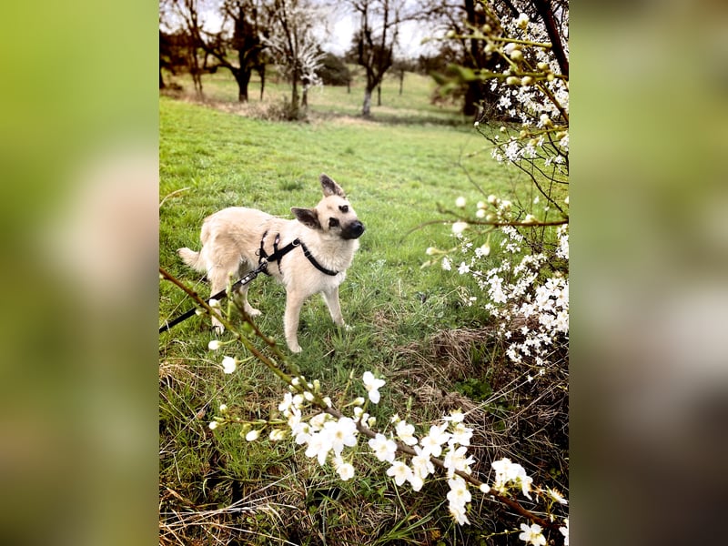 Eine echte Seele, auf der Suche nach ihren Seelens-Menschen!