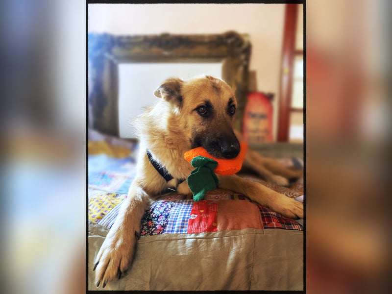 Eine echte Seele, auf der Suche nach ihren Seelens-Menschen!