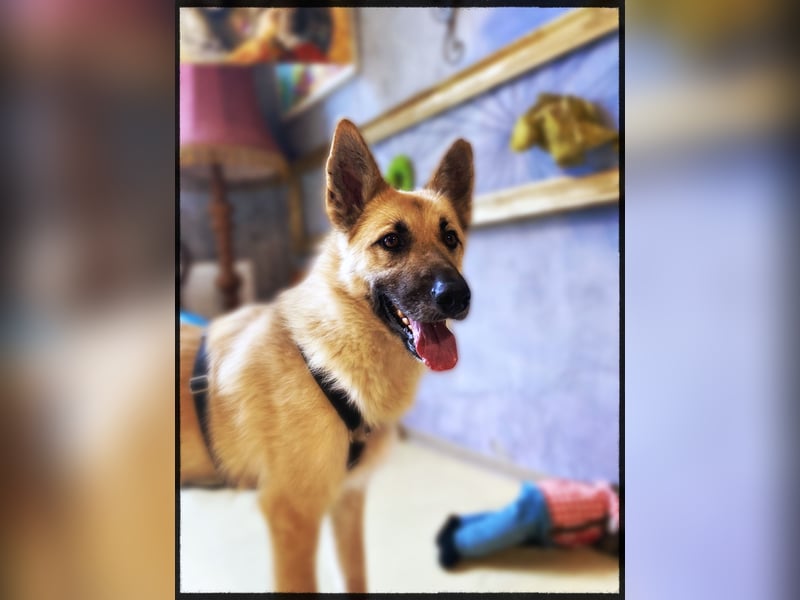 Eine echte Seele, auf der Suche nach ihren Seelens-Menschen!