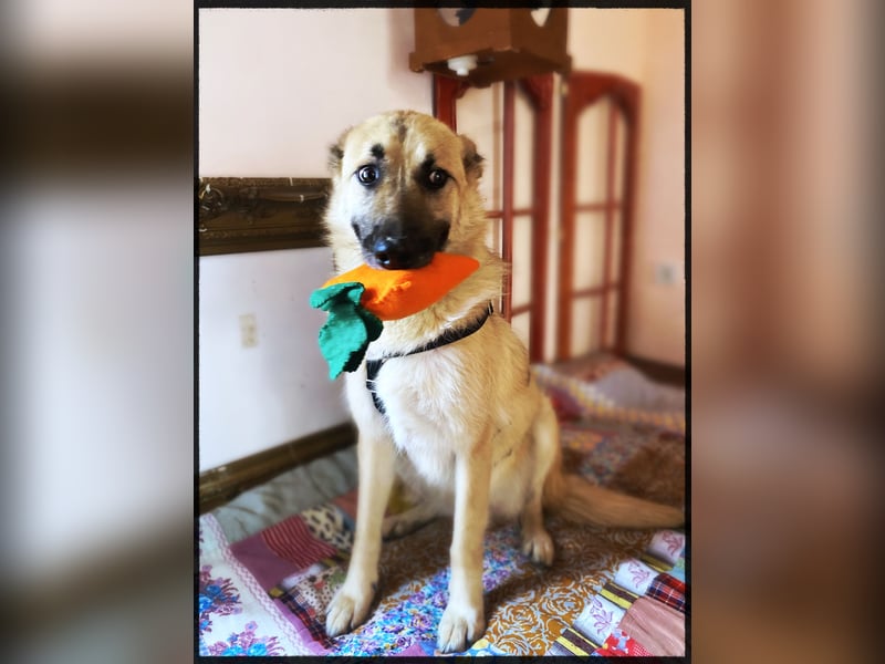 Eine echte Seele, auf der Suche nach ihren Seelens-Menschen!