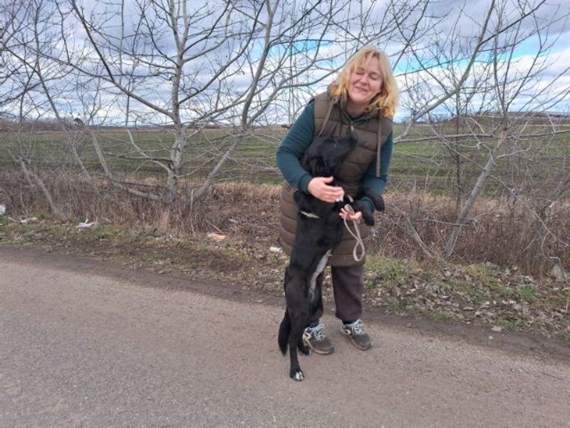 Bogár, liebevolle Herzensbrecherin, ca. 1 Jahr, ca. 47 cm, ca. 21 kg *in 88299 Leutkirch*