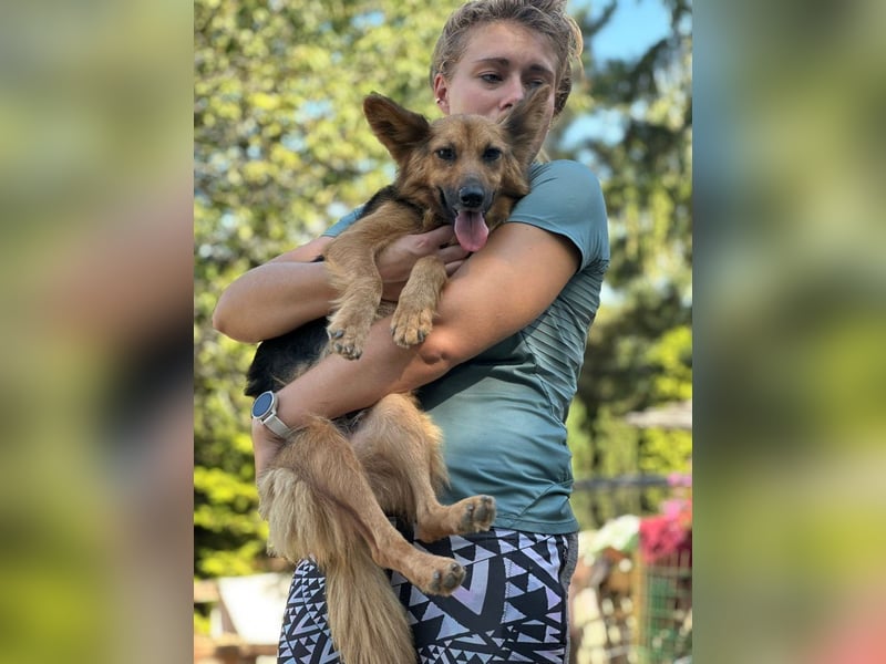 Nena, bezaubernde Herzensbrecherin, ca. 4 Jahre, ca. 42 cm, ca. 11 kg