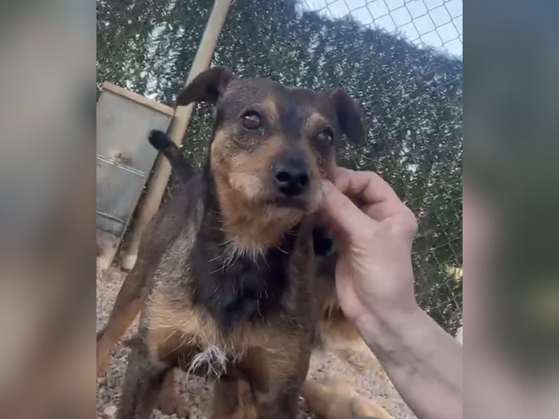 Tuko sucht Menschen mit Herz
