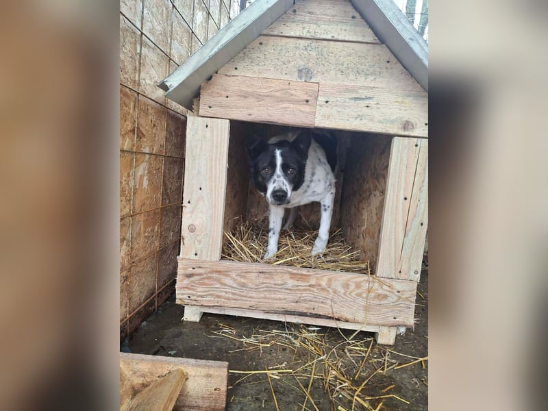 Rudi sucht geduldige Menschen