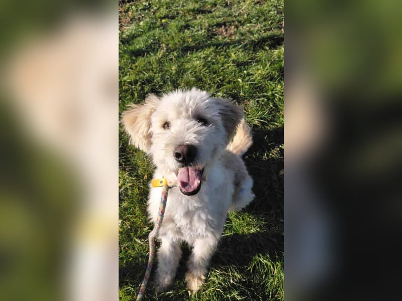 Tino sucht seine Menschen