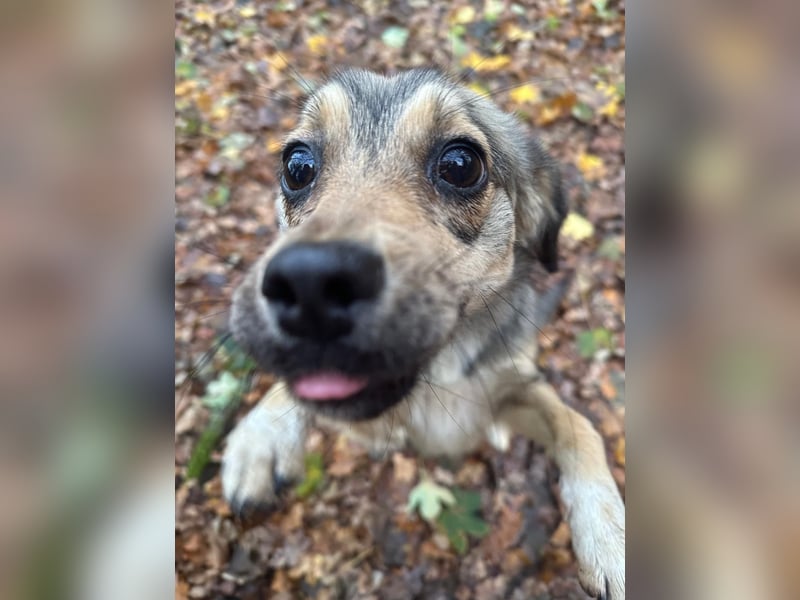 Sissy sucht ihr Traumzuhause