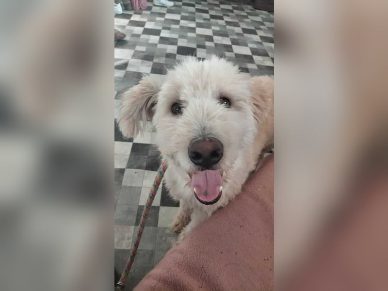 Tino sucht seine Menschen