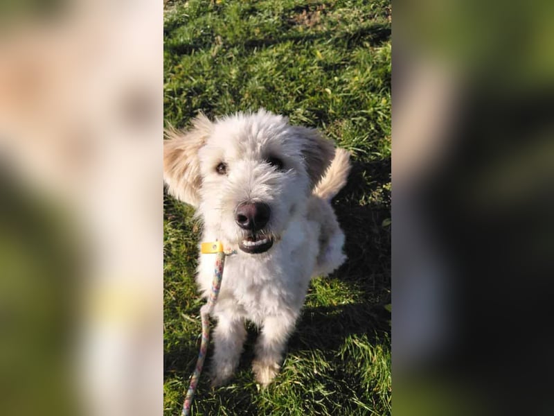 Tino sucht seine Menschen