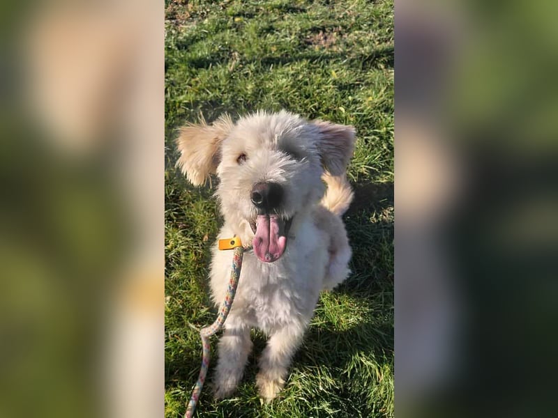 Tino sucht seine Menschen