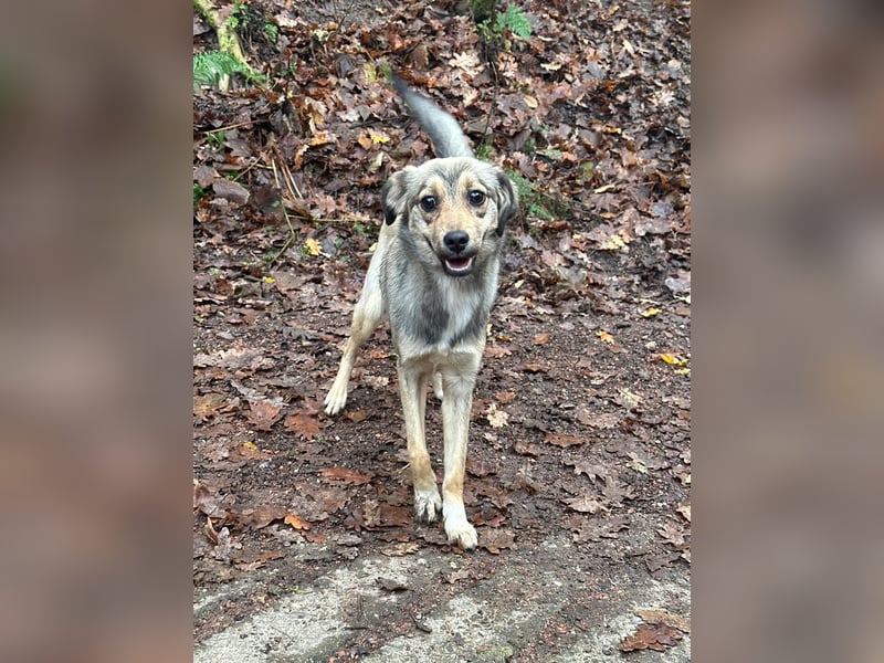 Sissy sucht ihr Traumzuhause