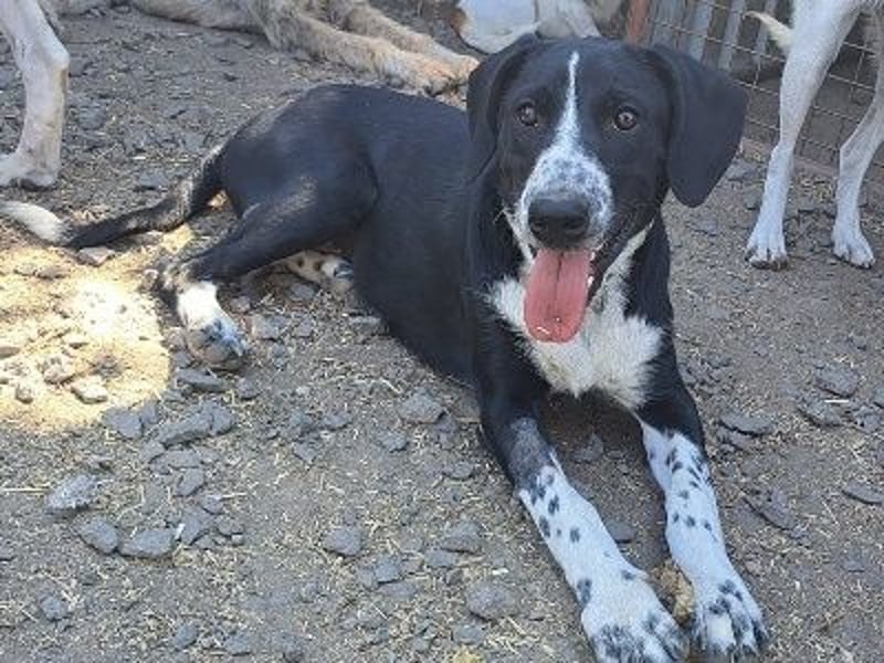 Süßer Leni ( * 12.2024 ) sucht seine Familie