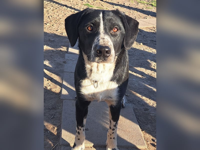 Süßer Leni ( * 12.2024 ) sucht seine Familie