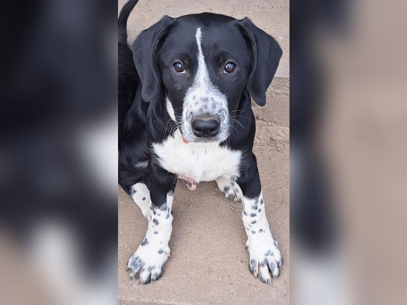 Süßer Leni ( * 12.2024 ) sucht seine Familie