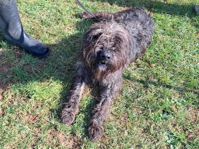 Freundlicher Ezra ( * 04/2024 ) sucht seine Familie