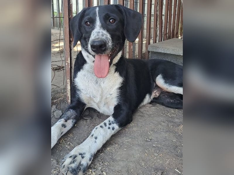 Süßer Leni ( * 12.2024 ) sucht seine Familie