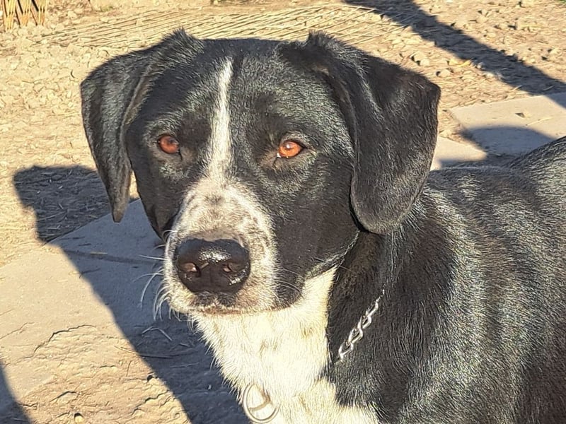 Süßer Leni ( * 12.2024 ) sucht seine Familie