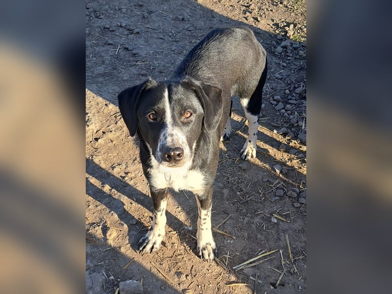 Süßer Leni ( * 12.2024 ) sucht seine Familie