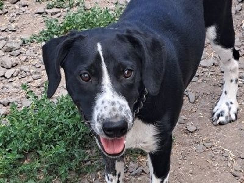 Süßer Leni ( * 12.2024 ) sucht seine Familie