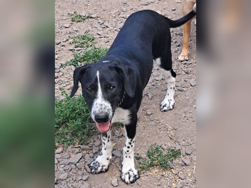 Süßer Leni ( * 12.2024 ) sucht seine Familie