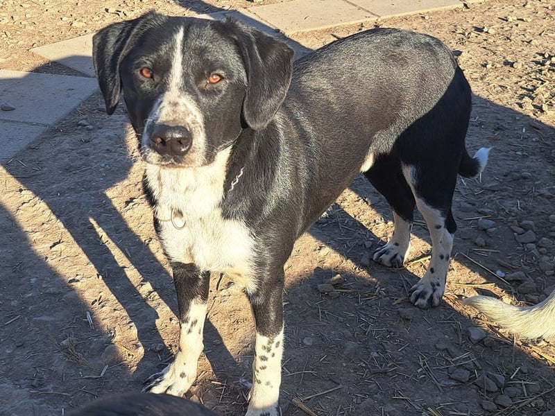 Süßer Leni ( * 12.2024 ) sucht seine Familie