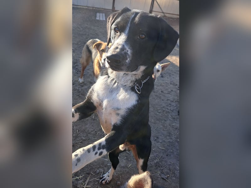 Süßer Leni ( * 12.2024 ) sucht seine Familie