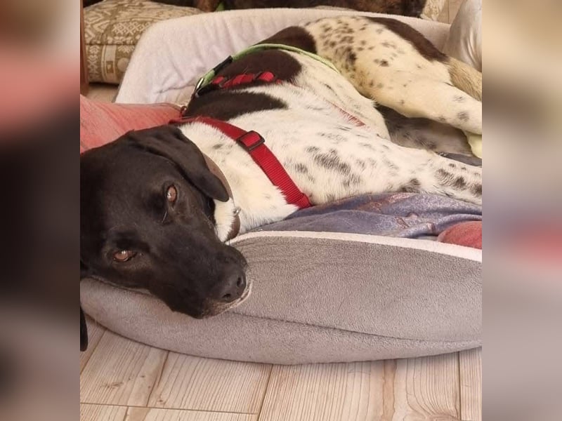 Nina sucht ihre Herzensmenschen