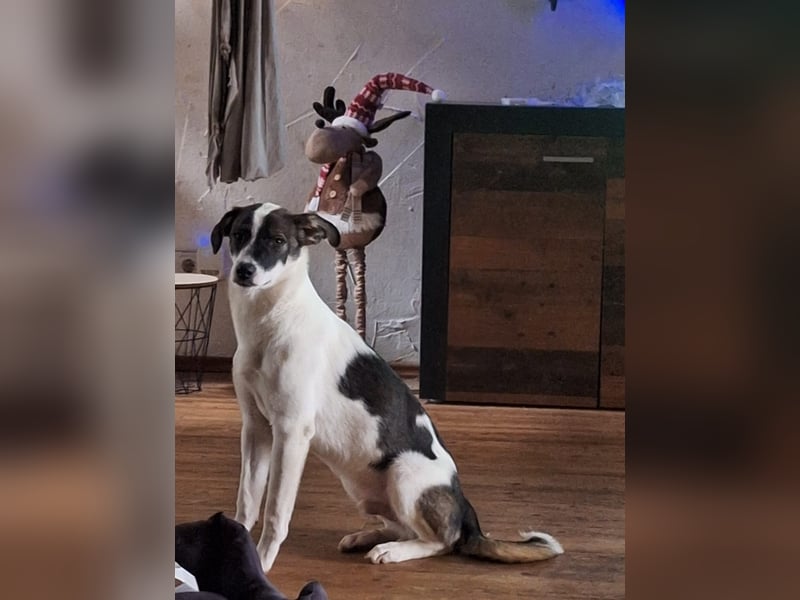 PACO hat einen Neujahrs-Wunsch