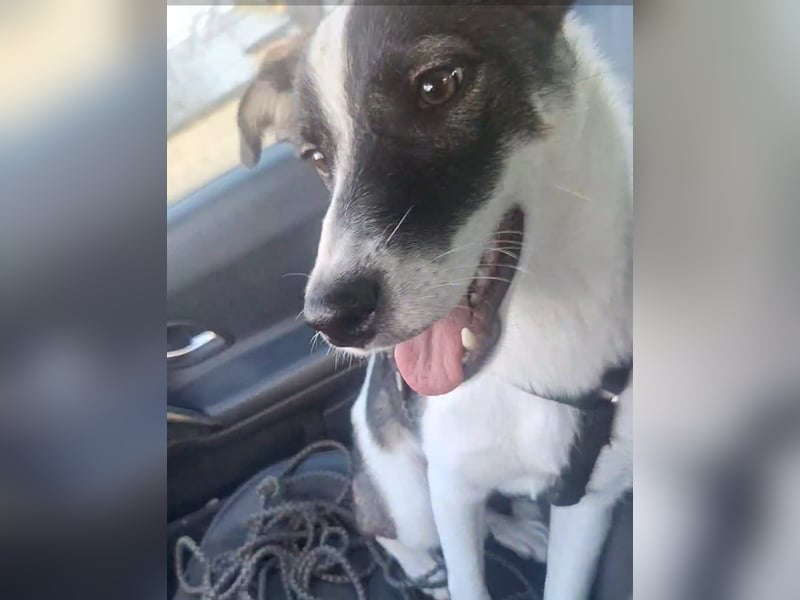 PACO hat einen Neujahrs-Wunsch