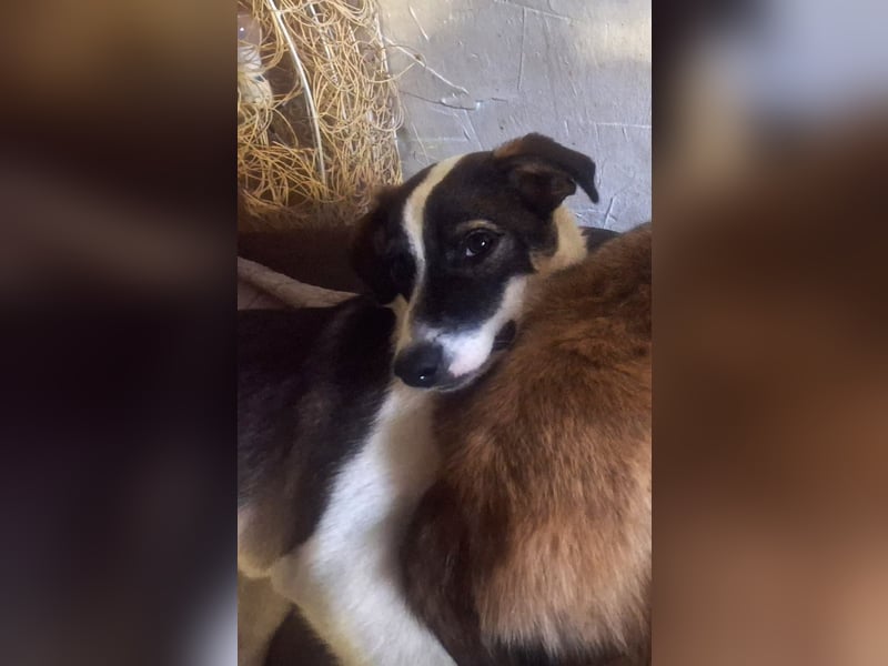 PACO hat einen Neujahrs-Wunsch