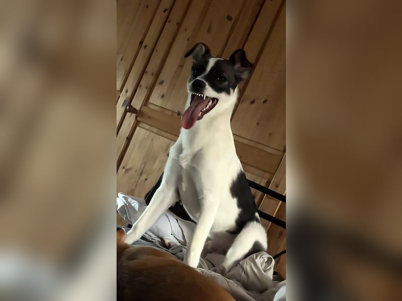 PACO hat einen Neujahrs-Wunsch