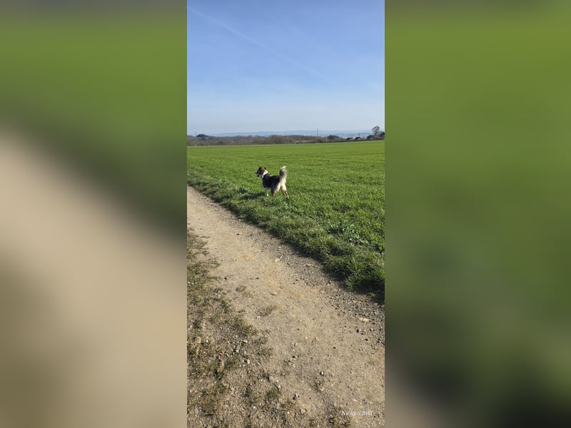 Jenna geschundene Seele  sucht ein Zuhause