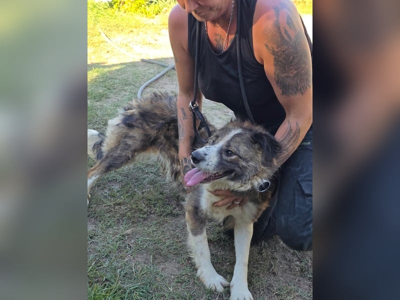 Jenna geschundene Seele  sucht ein Zuhause