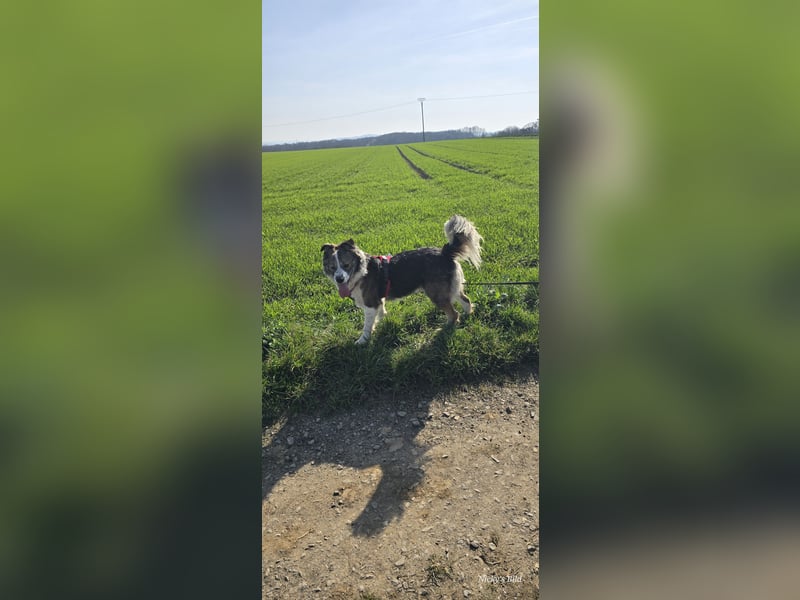 Jenna geschundene Seele  sucht ein Zuhause