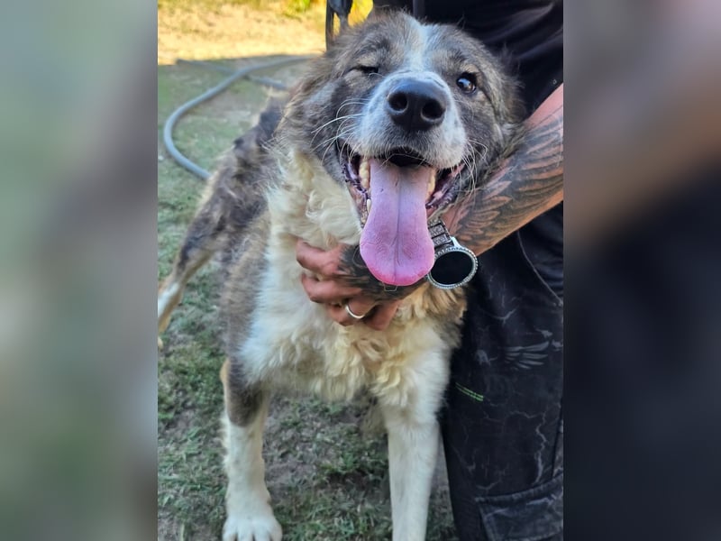 Jenna geschundene Seele  sucht ein Zuhause