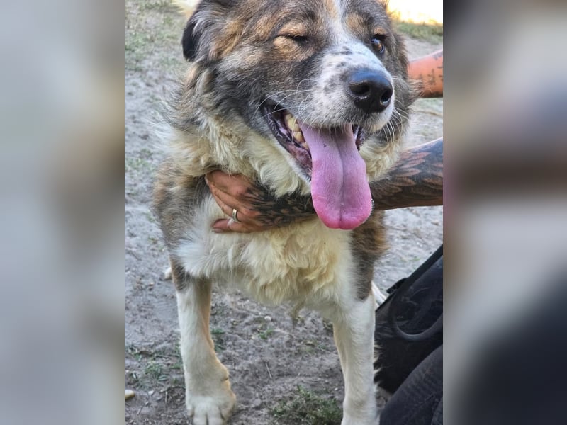 Jenna geschundene Seele  sucht ein Zuhause