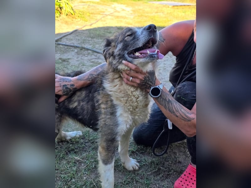 Jenna geschundene Seele  sucht ein Zuhause