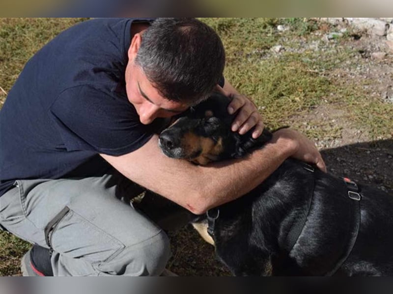 Niki - Patenschaft gesucht