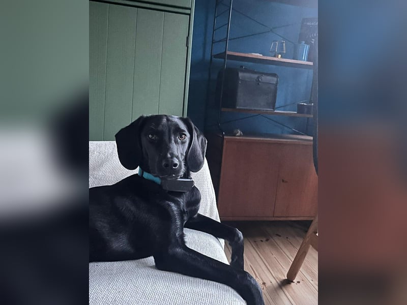 Juni - lebensfroh&aktiv