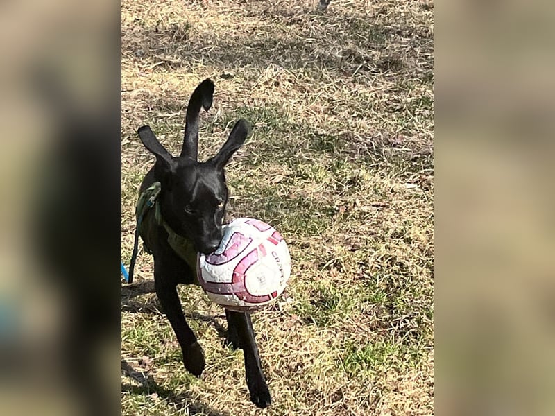 Juni - lebensfroh&aktiv