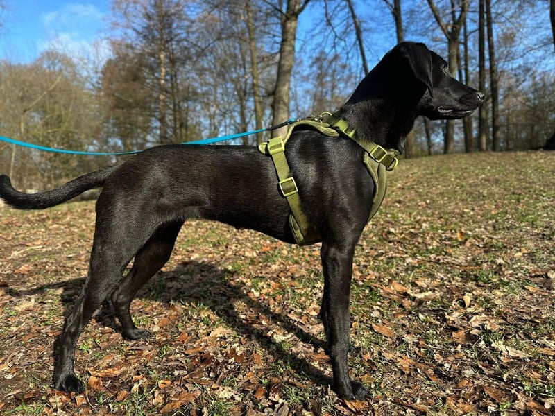 Juni - lebensfroh&aktiv