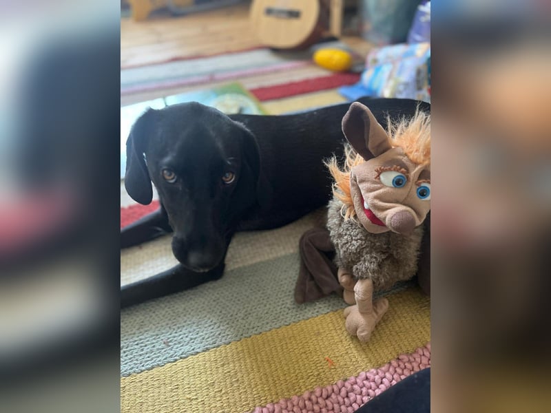 Juni - lebensfroh&aktiv