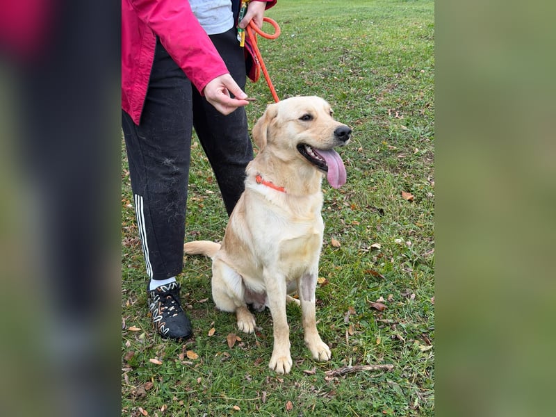 Odin-trotz starkem Regen sieht er die Sonne