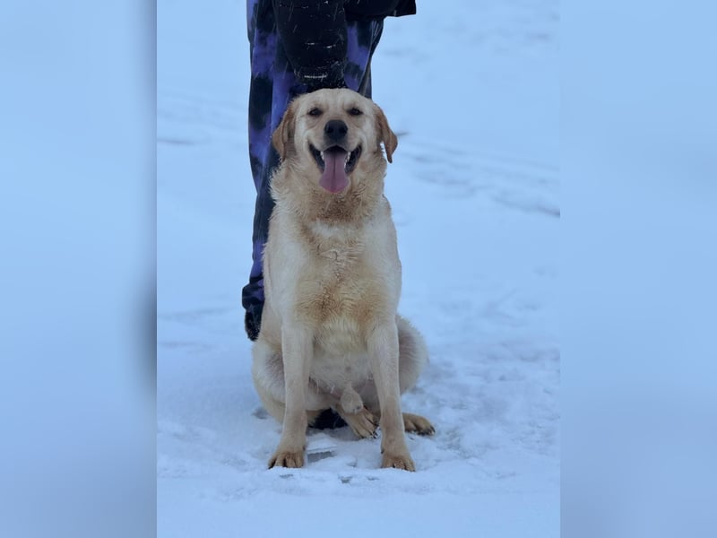 Odin-trotz starkem Regen sieht er die Sonne