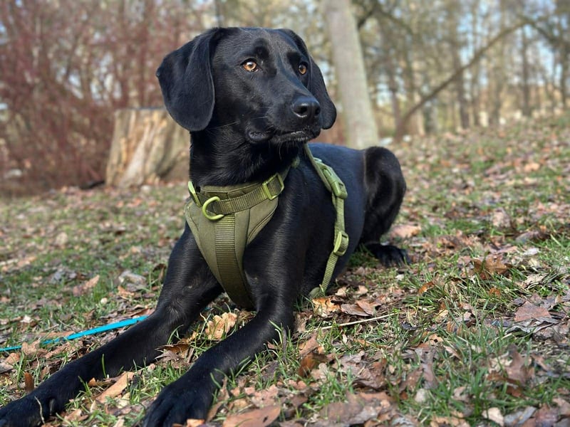 Juni - lebensfroh&aktiv