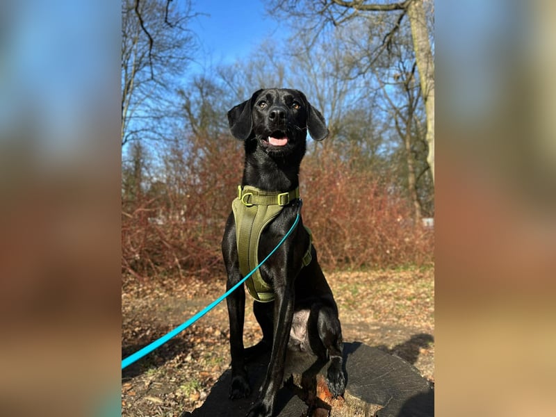 Juni - lebensfroh&aktiv