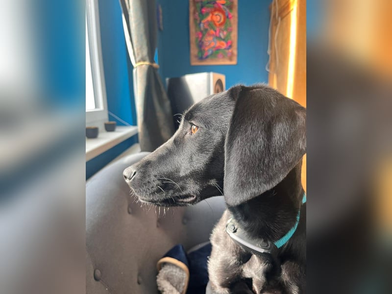 Juni - lebensfroh&aktiv