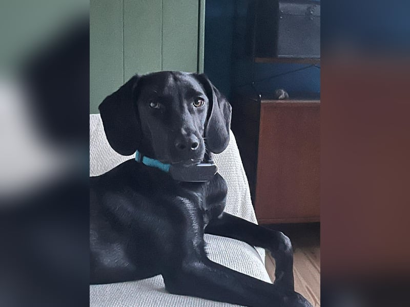 Juni - lebensfroh&aktiv