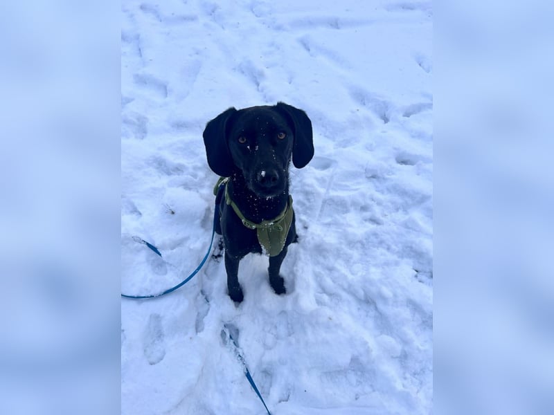 Juni - lebensfroh&aktiv