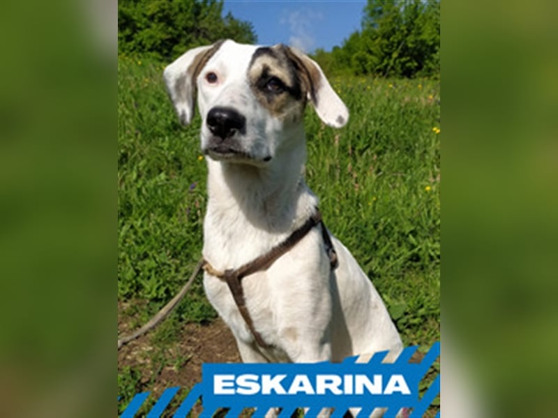 Eskarina